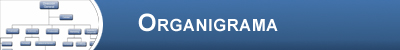 Organigrama Organigrama