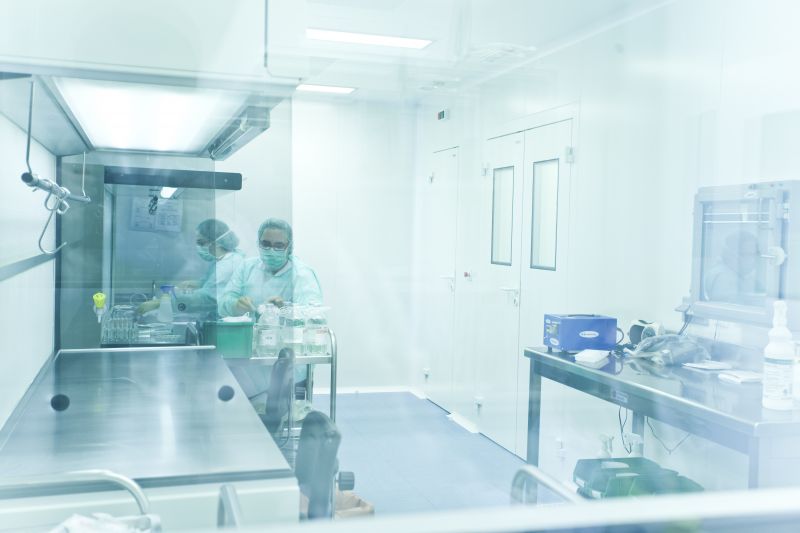 Investigadores del Ibs.Granada identifican un mecanismo para incrementar la eficacia analgésica de los opioides