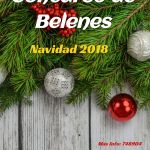 Con motivo de las Fiestas de Navidad, el Hospital Universitario Virgen de las Nieves de Granada convoca un concurso de Belenes y ornamentación de unidades