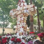 La cruz, compuesta por 230 libros de la Biblioteca del Paciente, recibe una mención de reconocimiento humanitario