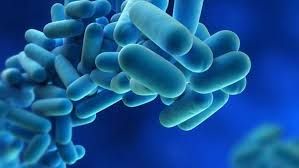 Mantenimiento Higiénico-Sanitario de instalaciones de riesgo frente a la Legionella. Nivel Básico.