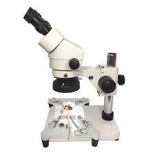 CURSO DE MICROCIRUGÍA EXPERIMENTAL