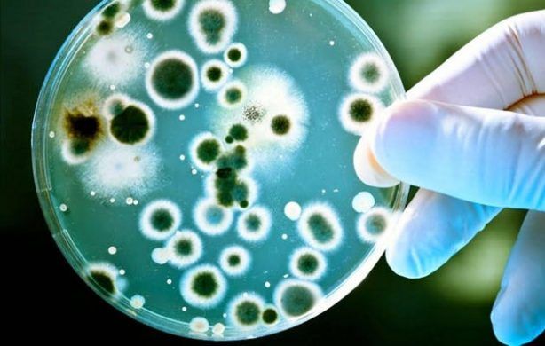 ACTUALIZACIÓN EN TERAPIA ANTIMICROBIANA