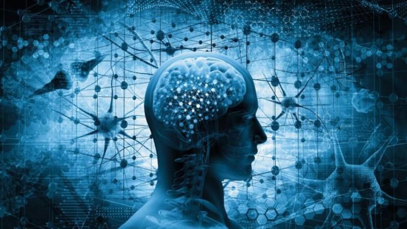 CURSO BÁSICO DE BIOÉTICA