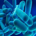 CURSO INICIAL PARA EL MANTENIMIENTO HIGIÉNICO-SANITARIO DE INSTALACIONES DE RIESGO FRENTE A LA LEGIONELA