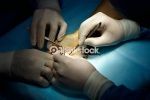 Curso de Microcirugía Expreimental