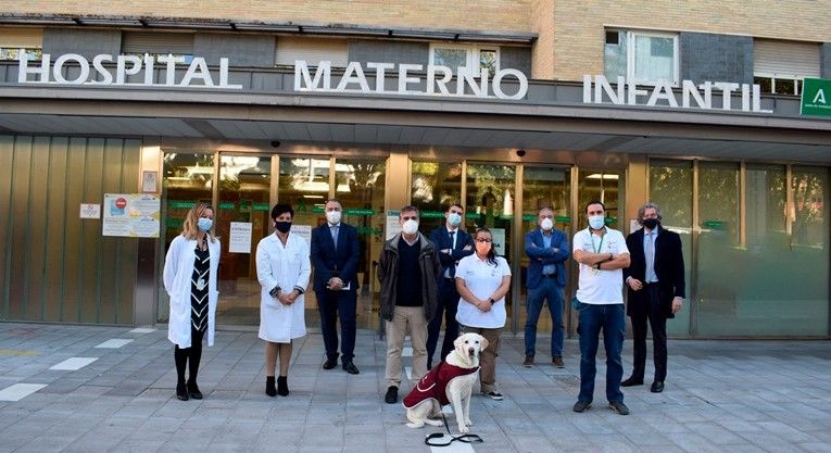 La unidad de terapia canina del Hospital Virgen de las Nieves acompaña a los peques que se van a extraer sangre