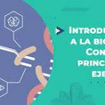 Bioética  Básica