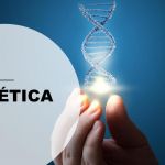Bioética  Básica