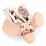 OBSTÉTRICA AVANZADA (CRM). ENTRENAMIENTO EN HEMORRAGIA, TRAUMA Y PARADA CARDIORRESPIRATORIA EN LA EMBARAZADA